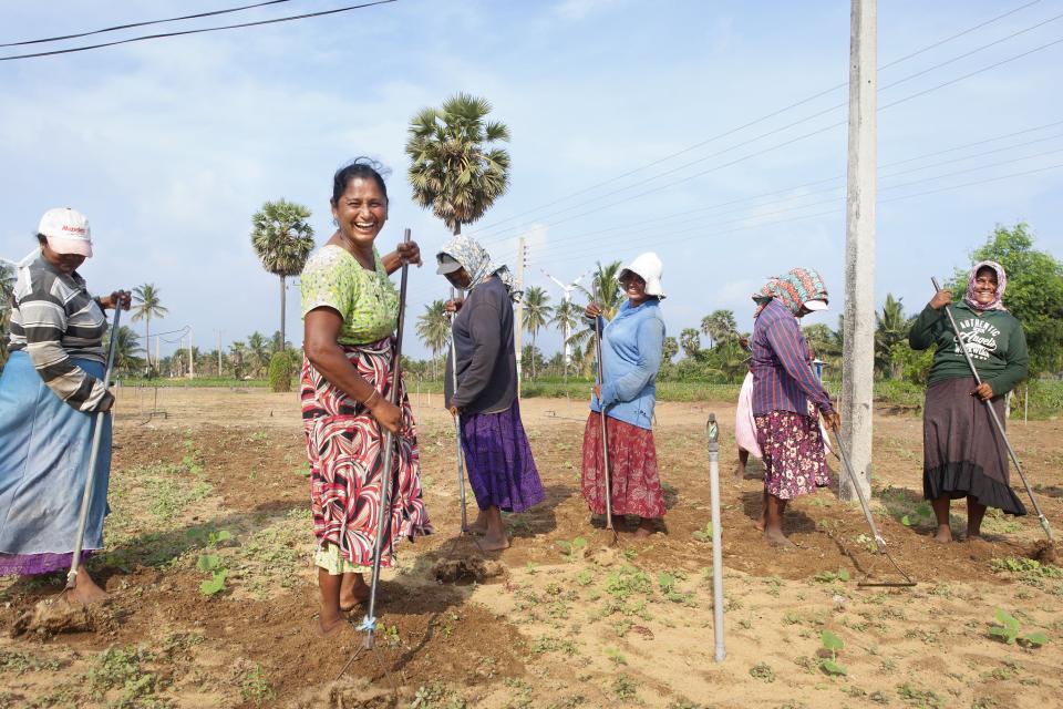 A group of women in a farm in Sri Lanka