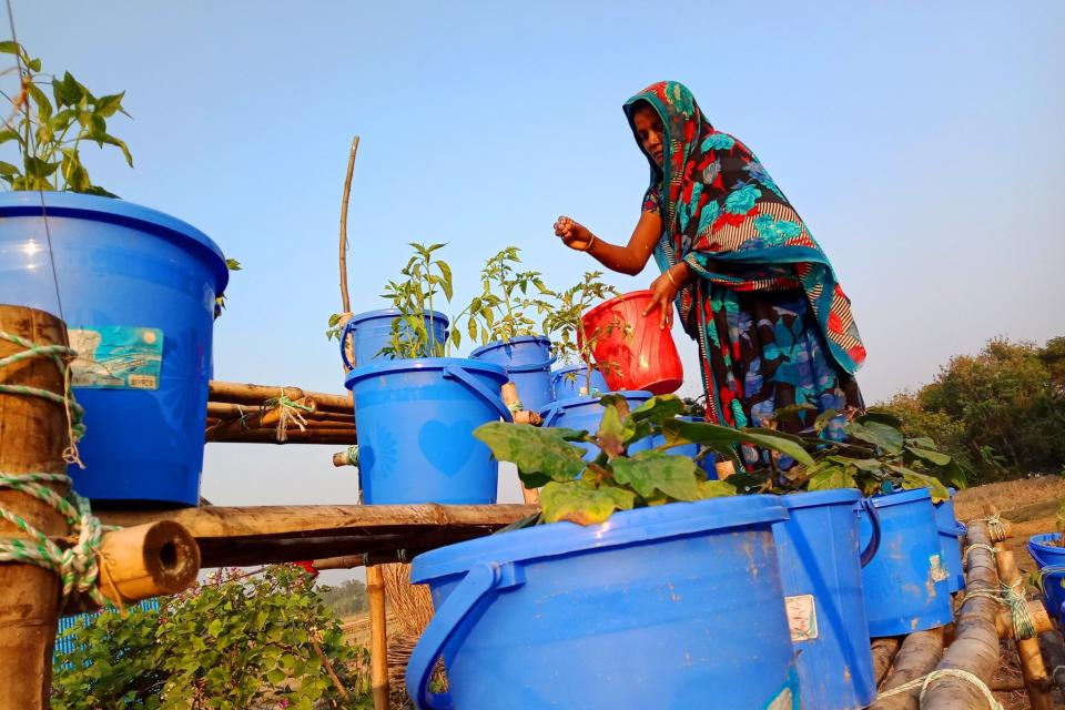 UNDP Bangladesh