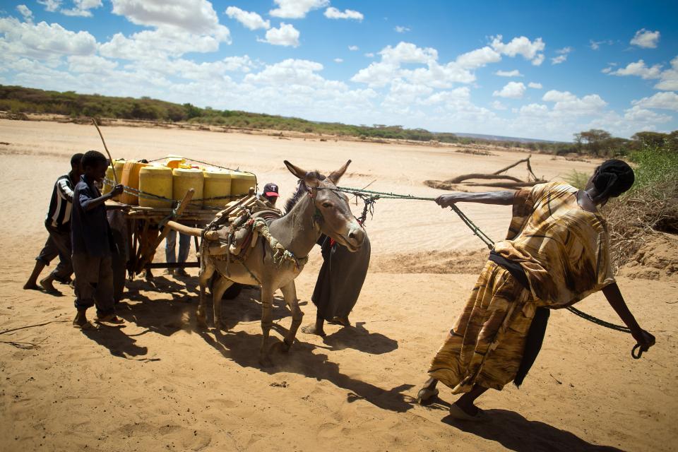 Photo of woman and children helping a donkey out from Ewaso Ngiro dry river basin