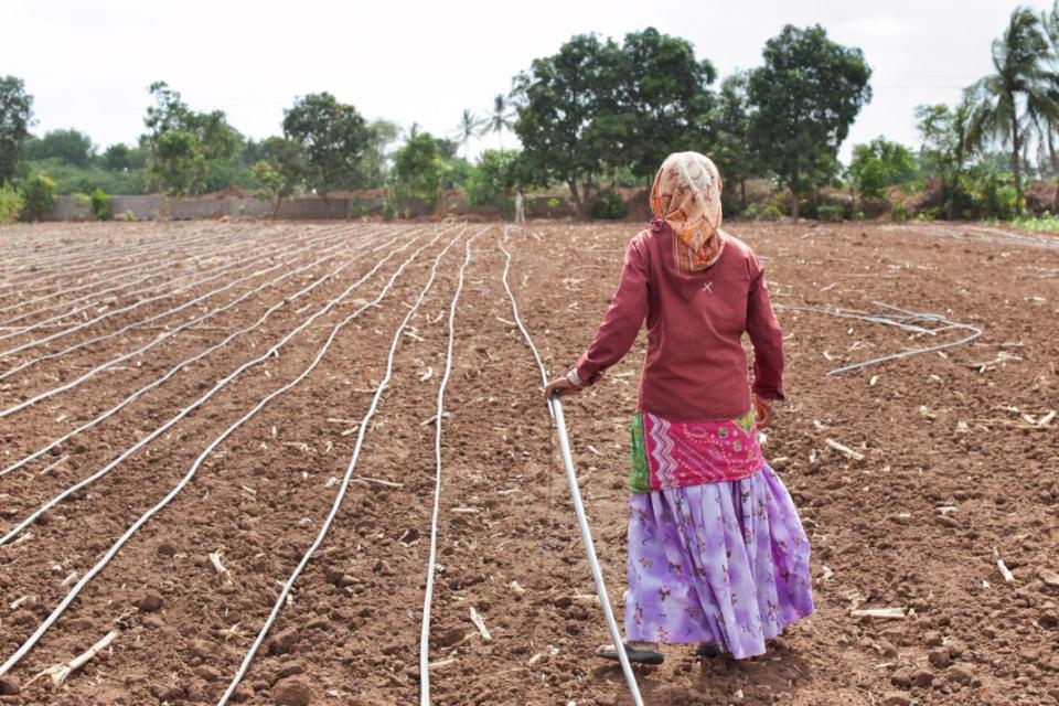 Woman on a farm