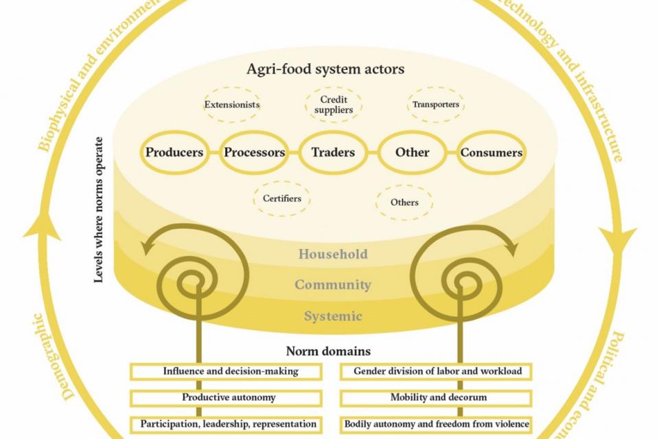 Social norms in agri-food systems