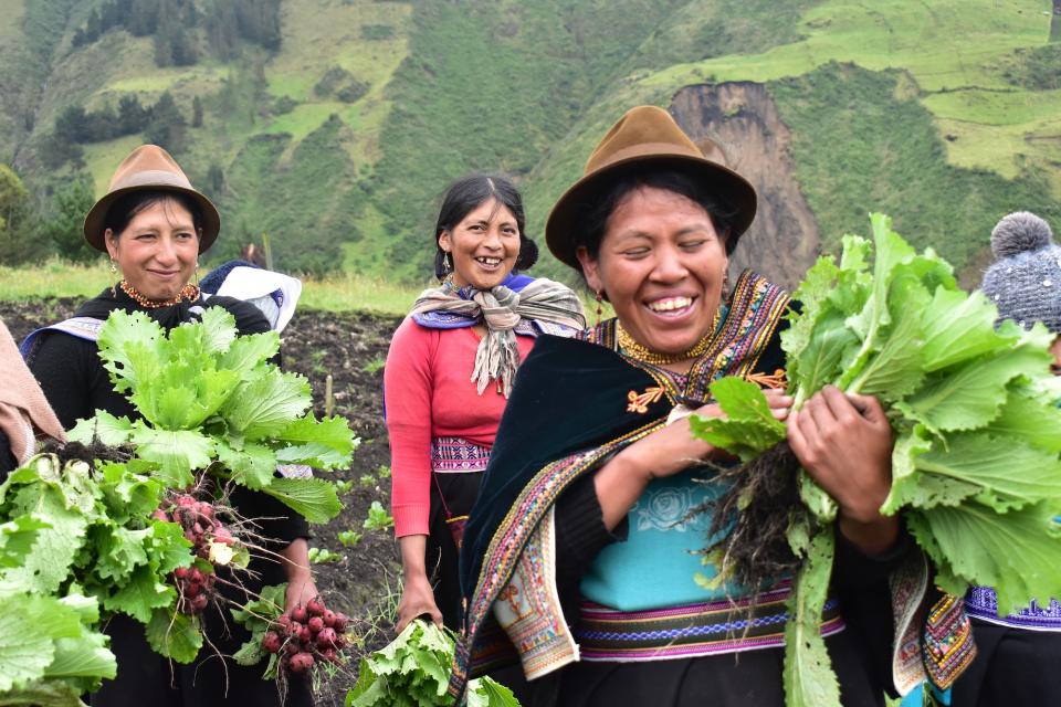 Andean women holding green plants
