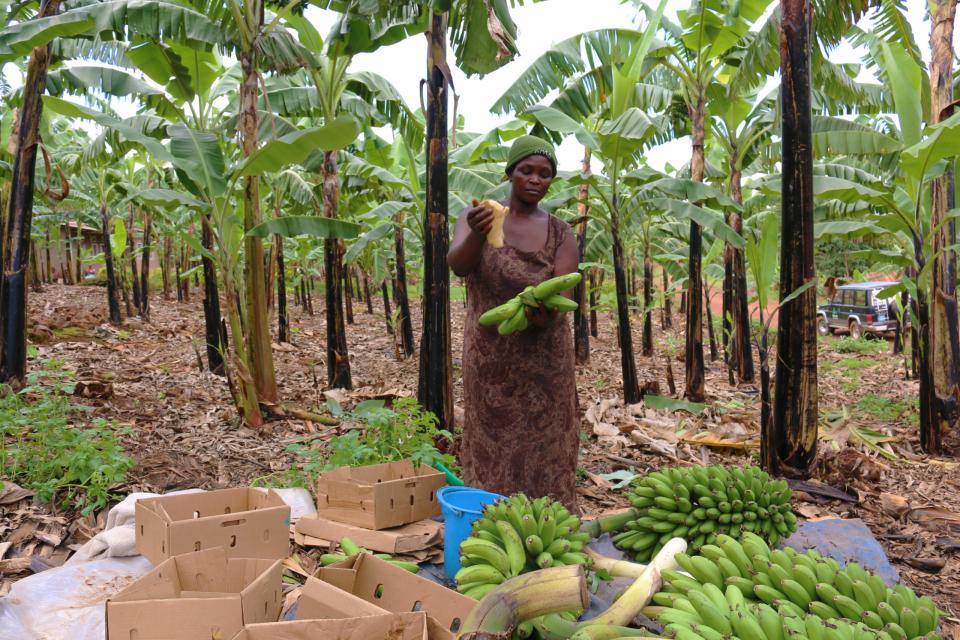 Woman with bananas