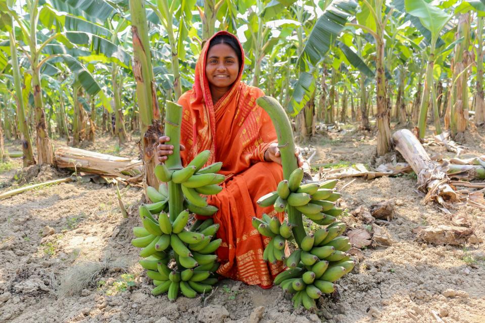 Banana farmer