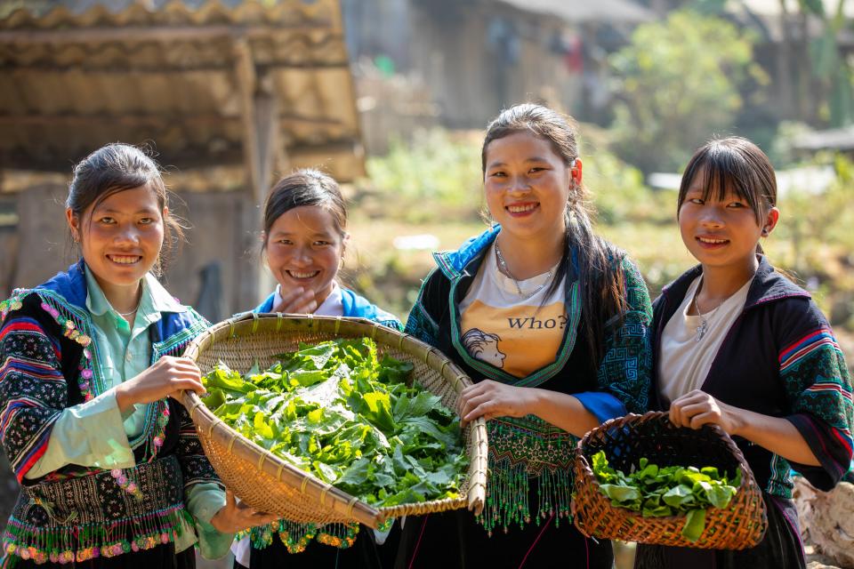 Seeds systems in Sapa, VN