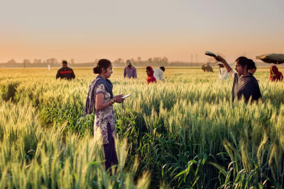 Photo: Dalit Singh / Feed The Future