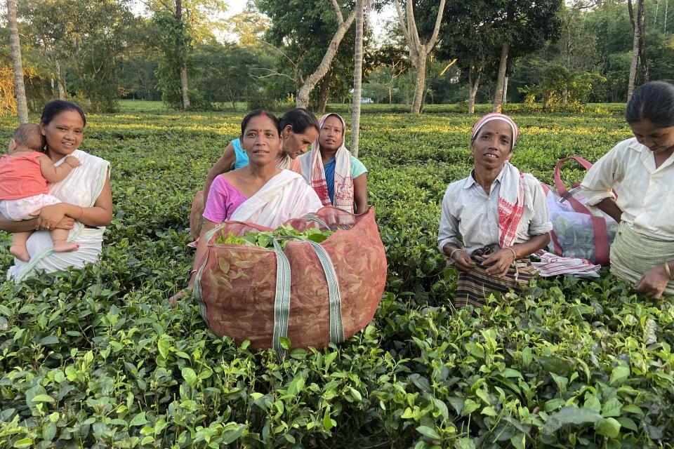 Unpacking Identity and Intersectionality in India’s Assamese Small-grower Tea Sector