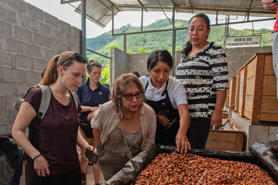 Women looking at cocoa beans
