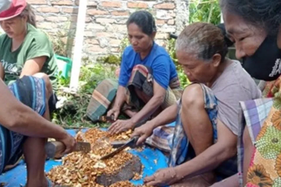 The women’s group chops cocoa pods before fermenting the pods into fertilizer.