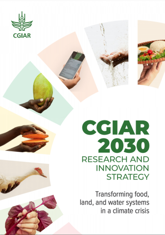CGIAR 2030 Research and Innovation Strategy
