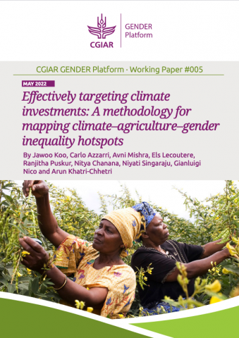 Effectively targeting climate investments: A methodology for mapping climate–agriculture–gender inequality hotspots