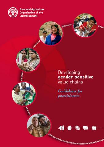 Developing gender-sensitive value chains publication cover