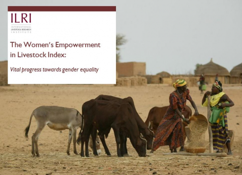 Women's Empowerment in Livestock