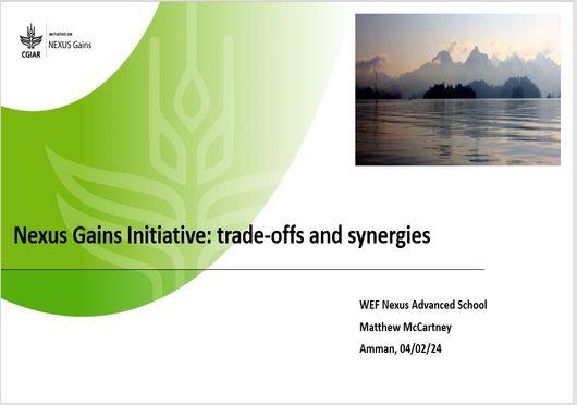 Nexus Gains Initiative: trade-offs and synergies