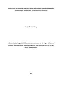 Identification and molecular analysis of antimicrobial resistant Salmonella isolates obtained from pigs slaughtered at Wambizzi abattoir in Uganda