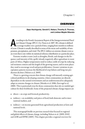 Overview [In Southern African Agriculture and Climate Change: A comprehensive analysis]