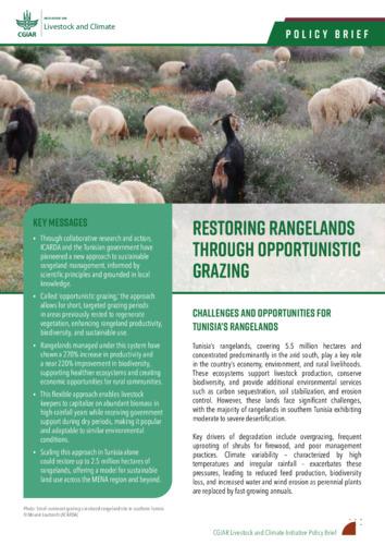 Restoring rangelands through opportunistic grazing