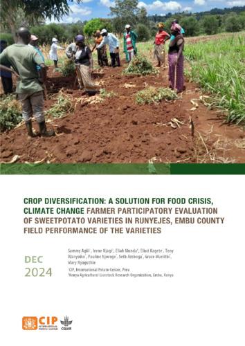 Crop diversification: A solution for food crisis, climate change. Farmer participatory evaluation of sweetpotato varieties in Runyejes, Embu County. Field performance of the varieties