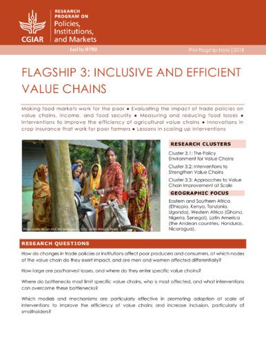 Flagship 3: Inclusive and efficient value chains