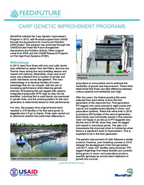 Carp genetic improvement programs
