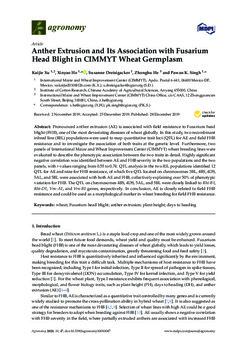 Anther extrusion and its association with Fusarium head blight in CIMMYT wheat germplasm