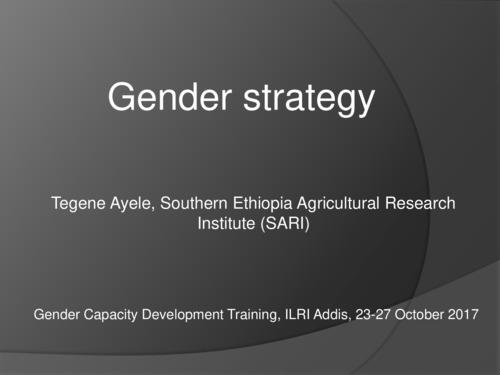 Southern Ethiopia Agricultural Research Institute gender strategy