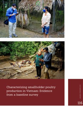 Characterizing smallholder poultry production in Vietnam: Evidence from a baseline survey