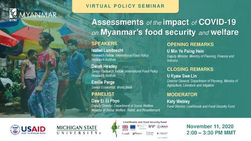 Assessments of the Impacts of COVID-19 on Myanmar's food security and welfare
