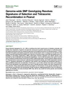 Genome-wide SNP Genotyping Resolves Signatures of Selection and Tetrasomic Recombination in Peanut