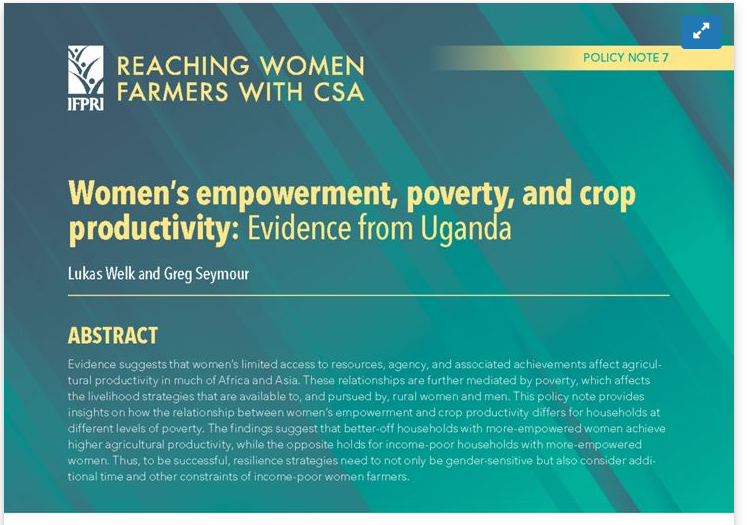 The Causal Effect of Early Marriage on Women's Bargaining Power: Evidence from Bangladesh