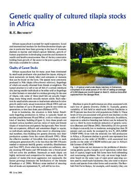 Genetic quality of cultured tilapia stocks in Africa