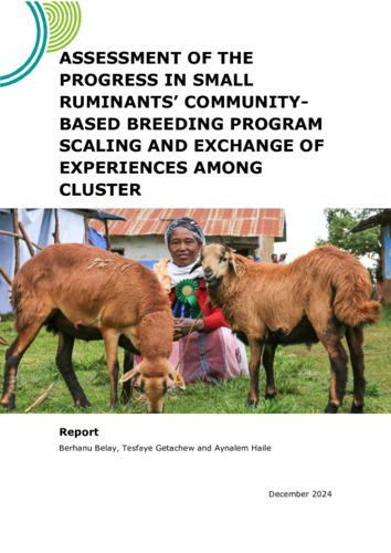 Assessment of the Progress in Small Ruminants' Community-Based Breeding Program Scaling and Exchange of Experiences Among Clusters