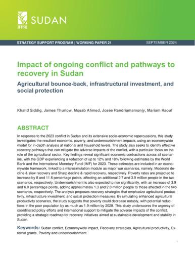 Impact of ongoing conflict and pathways to recovery in Sudan: Agricultural bounce-back, infrastructural investment, and social protection