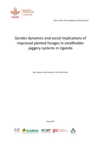 Gender dynamics and social implications of improved planted forages in smallholder piggery systems in Uganda