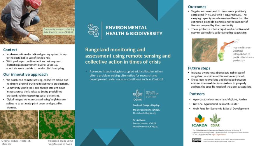 Rangeland monitoring and assessment using remote sensing and collective action in times of crisis