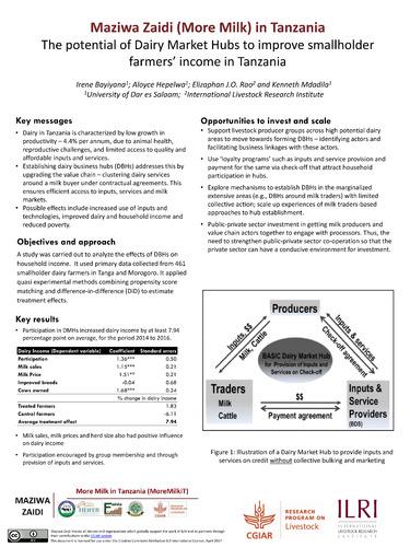 The potential of Dairy Market Hubs to improve smallholder farmers’ income in Tanzania
