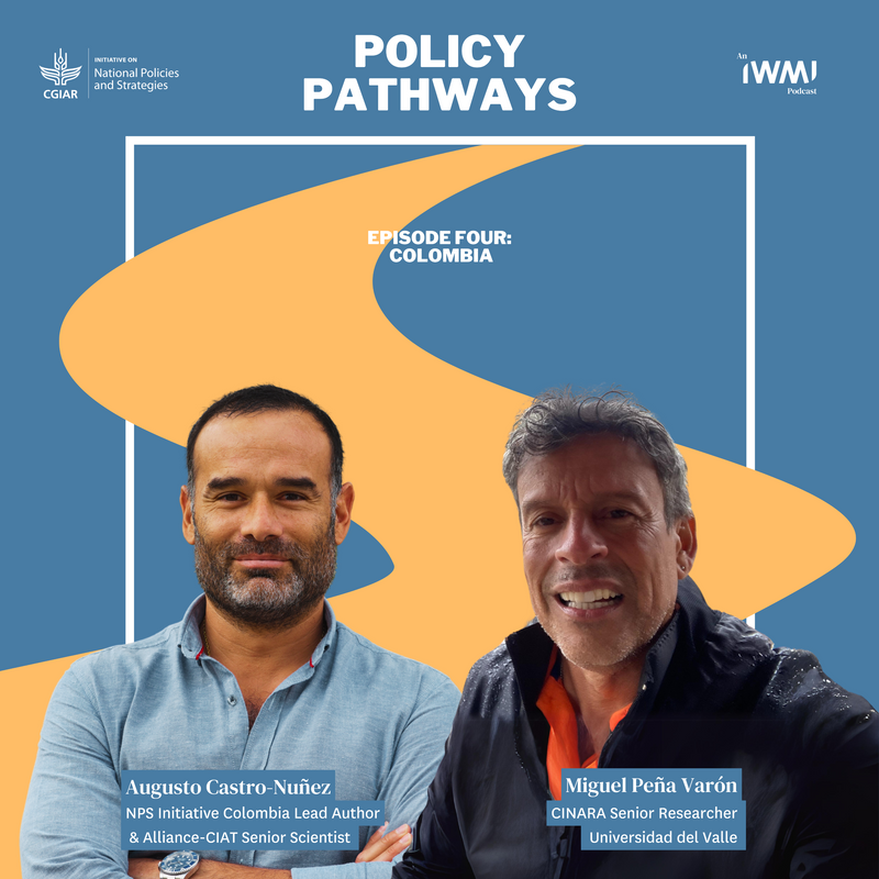 Colombia's Policy Pathways