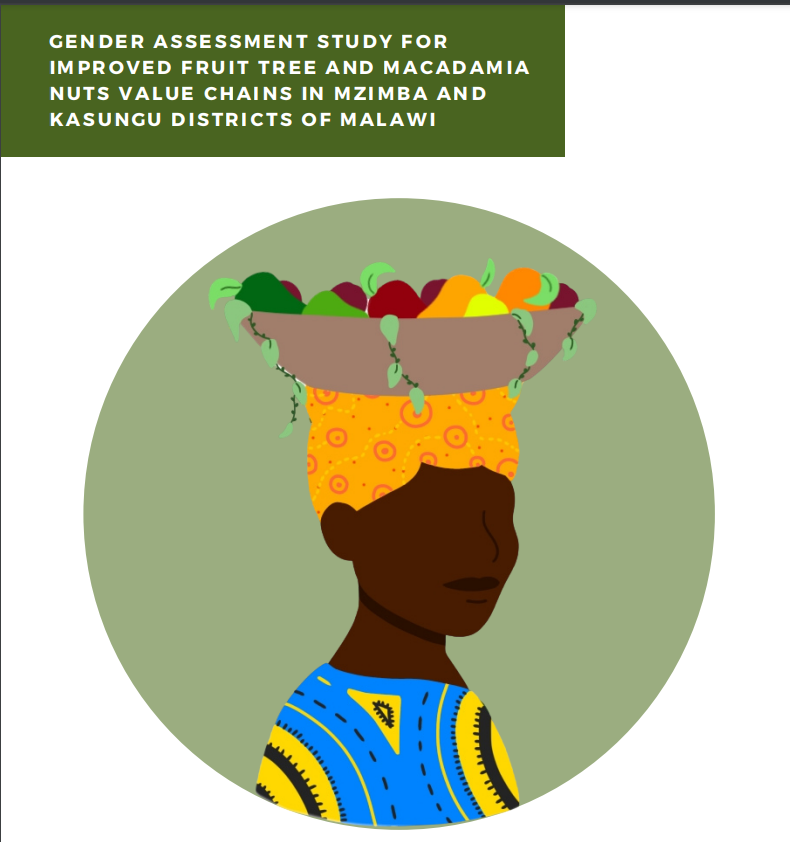 GENDER ASSESSMENT STUDY F O R IMPR O VED FRUIT TREE AND MACADAMIA NUTS VALUE CHAINS IN MZIMBA AND KASUNGU DISTRICTS O F MALAWI