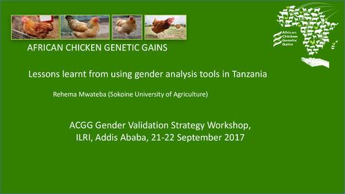 Lessons learnt from using gender analysis tools in Tanzania