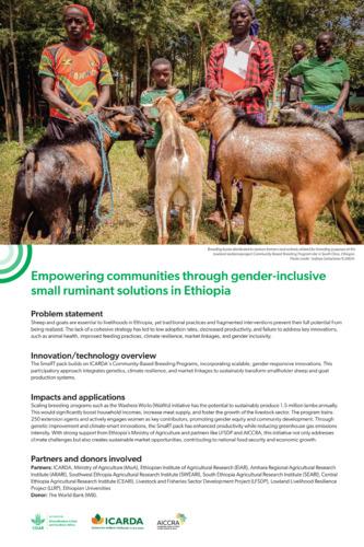 Empowering communities through gender-inclusive small ruminant solutions in Ethiopia