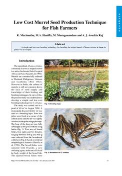 Low cost murrel seed production technique for fish farmers