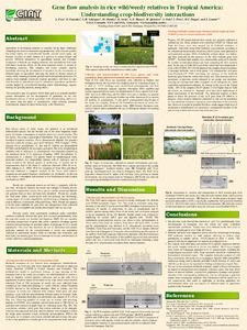 Gene flow analysis in rice wild/weedy relatives in Tropical America : Understanding crop-biodiversity interactions