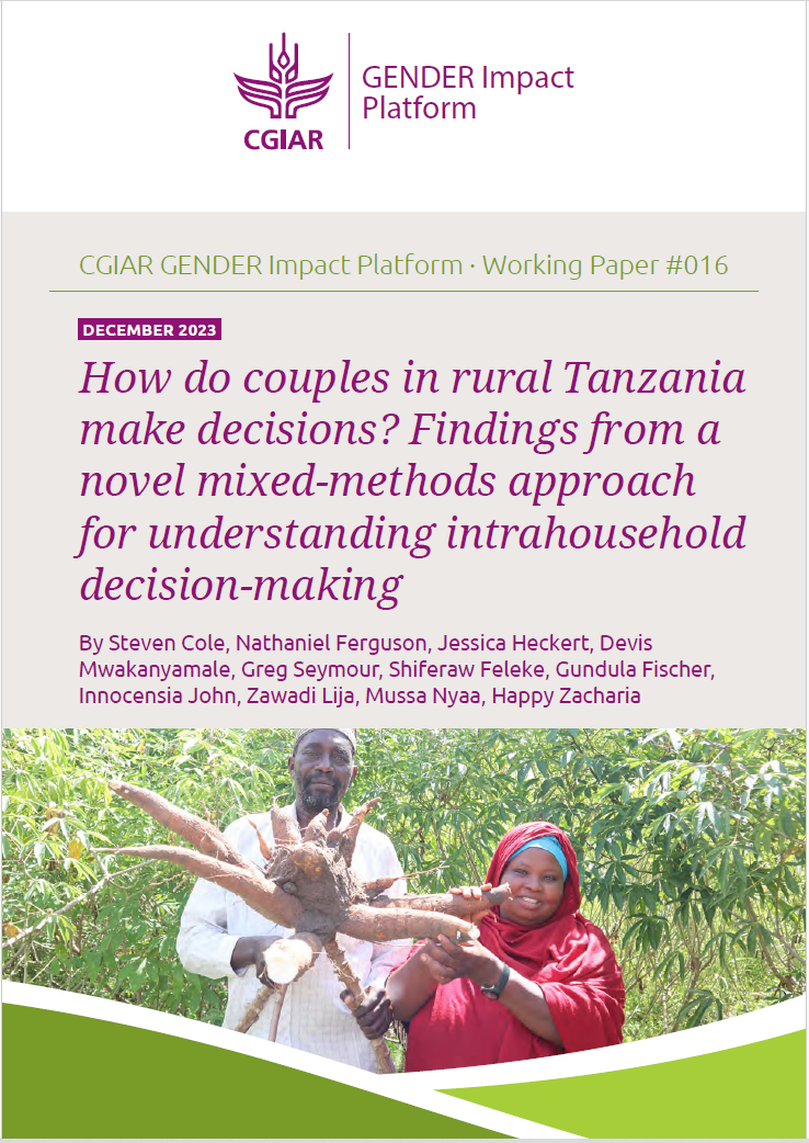 How do couples in rural Tanzania make decisions?