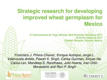 Strategic research for developing improved wheat germplasm for Mexico