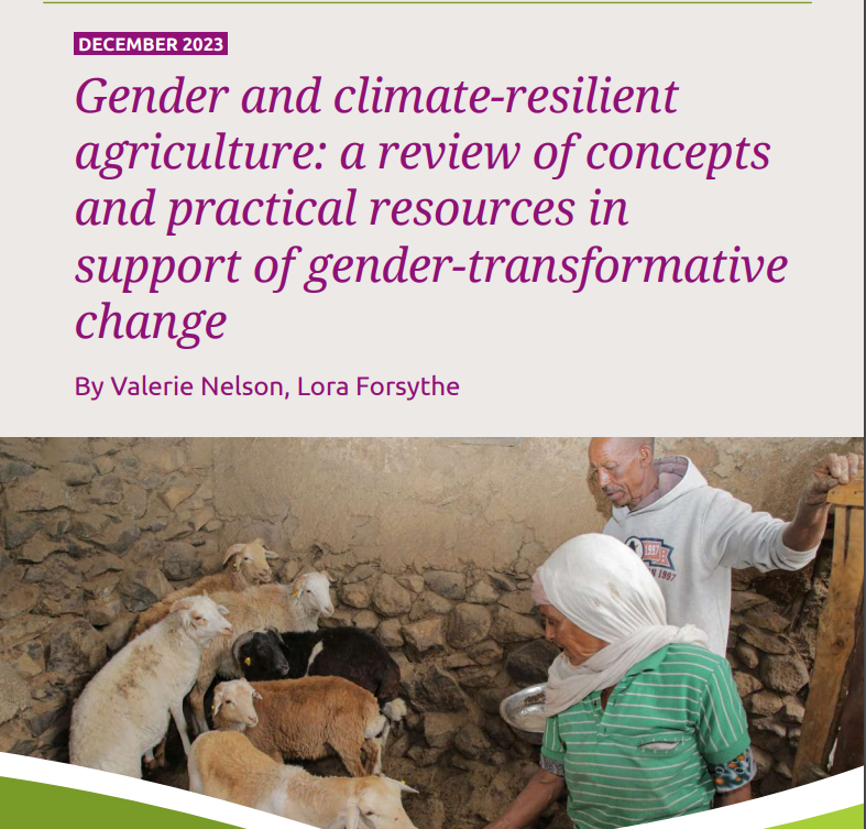 Gender and climate-resilient agriculture: A review of concepts and practical resources in support of gender-transformative change