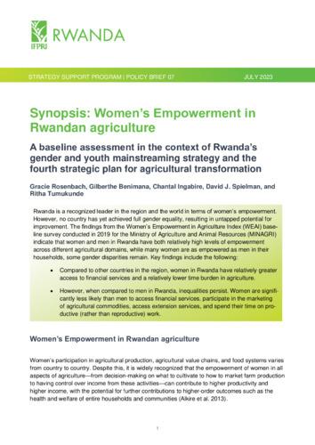 Synopsis: Women’s empowerment in Rwandan agriculture: A baseline assessment in the context of Rwanda’s gender and youth mainstreaming strategy and the fourth strategic plan for agricultural transformation