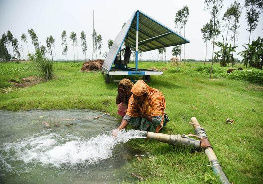 Solar-powered irrigation: empowering Bangladesh’s women farmers