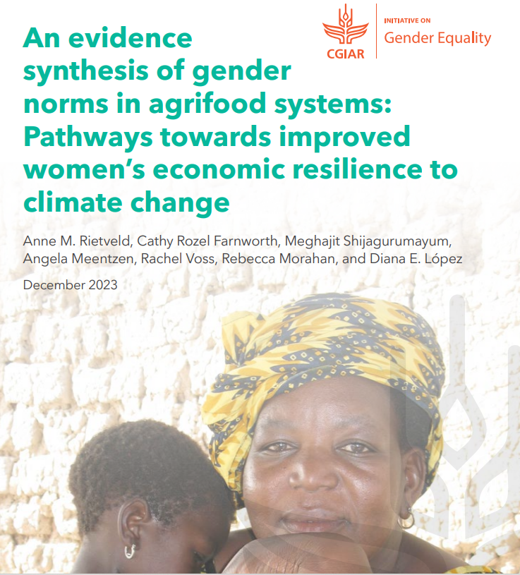 An evidence synthesis of gender norms in agrifood systems: Pathways towards improved women’s economic resilience to climate change