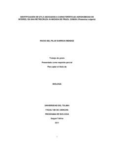 Identificación de QTLS asociados a características agronómicas de interés, en una retrocruza avanzada de frijol común (Phaseolus vulgaris). Tesis (Biólogo)