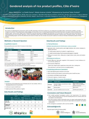 Gendered analysis of rice product profiles, Côte d’Ivoire